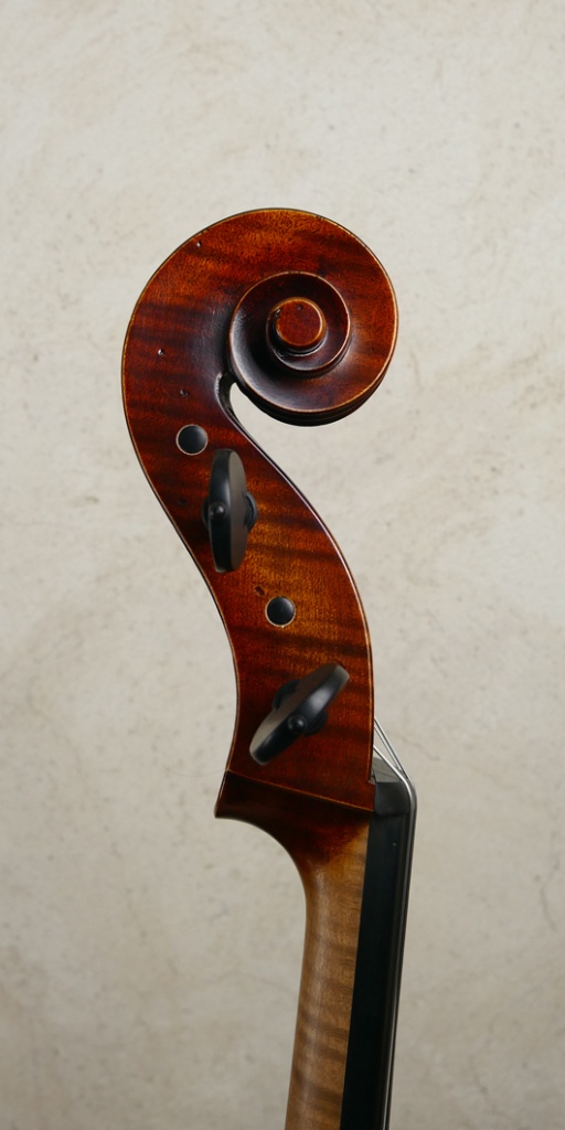 Violoncelle Allemand "Semmlinger Solo" 2018 – Image 3