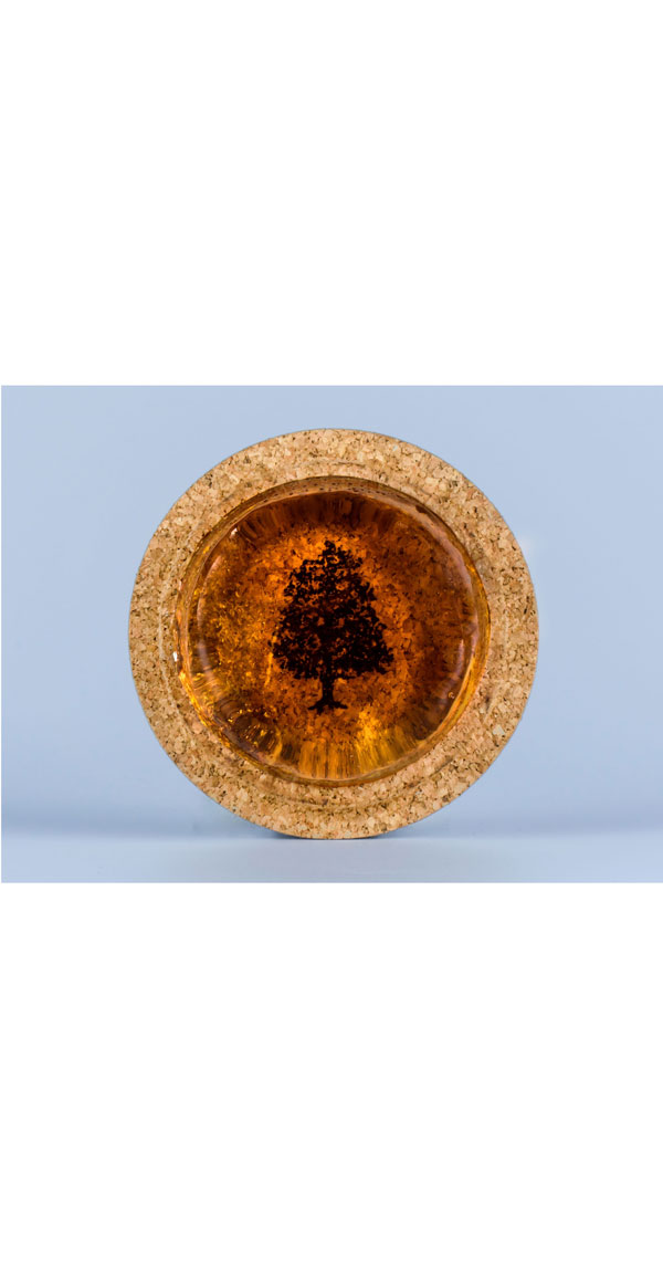 Colophanes Melos - – Image 2